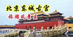 大鸡巴操人黄站中国北京-东城古宫旅游风景区